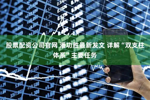 股票配资公司官网 潘功胜最新发文 详解“双支柱体系”主要任务