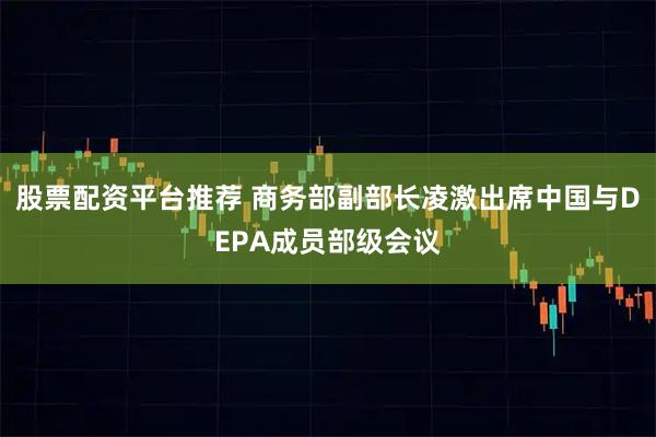 股票配资平台推荐 商务部副部长凌激出席中国与DEPA成员部级会议