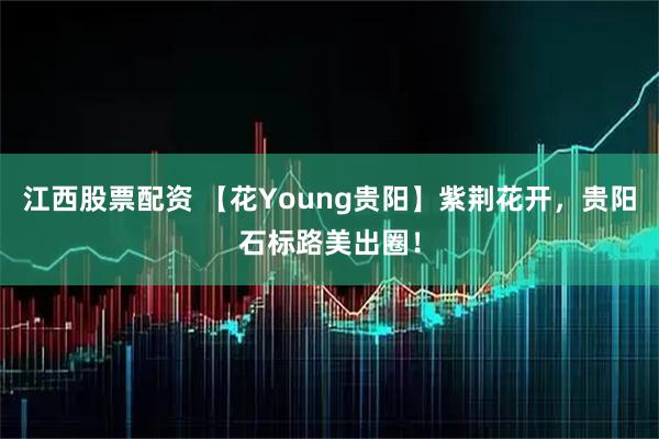 江西股票配资 【花Young贵阳】紫荆花开，贵阳石标路美出圈！